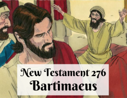 NT 276 - Bartimaeus